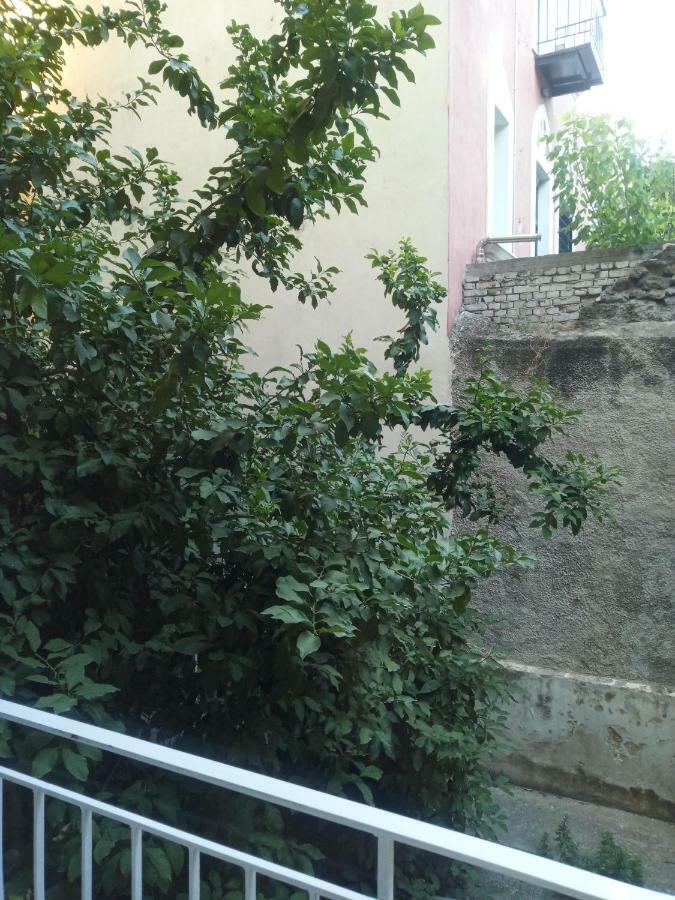 New Apartment With A Separate Entrance Near The Subway. Atenas Exterior foto